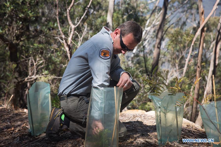 AUSTRALIA-SYDNEY-NATIONAL PARK