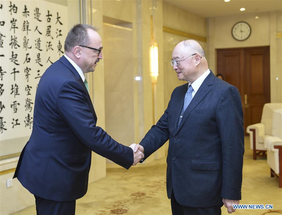 CHINA-BEIJING-CHEN YUAN-HUNGARY-ZSOLT NEMETH-MEETING (CN)