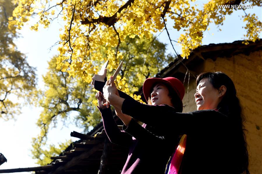 #CHINA-AUTUMN SCENERY (CN)