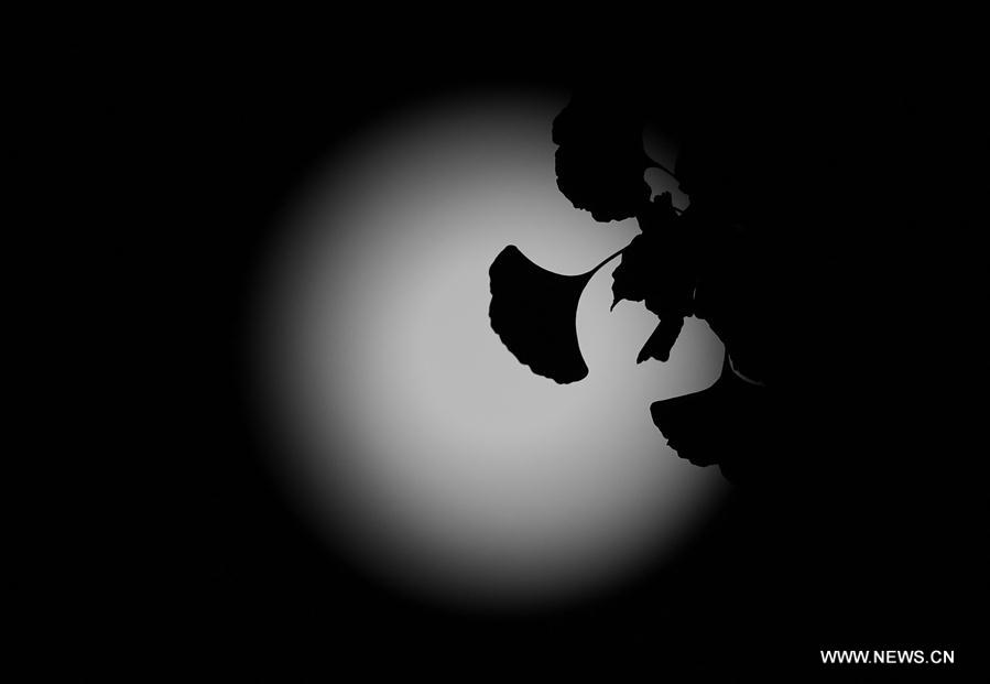 CHINA-SUPERMOON (CN)