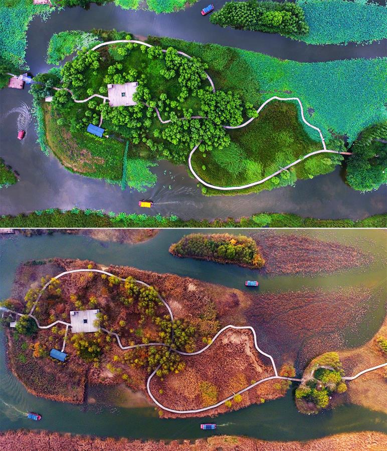 #CHINA-SHANDONG-CANAL WETLAND PARK (CN)