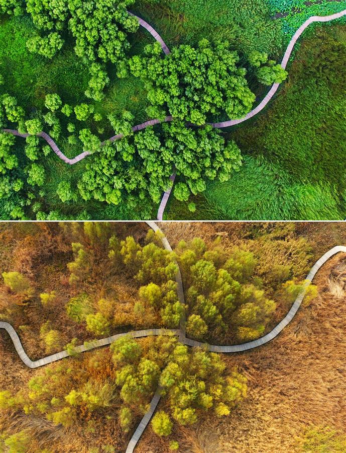 #CHINA-SHANDONG-CANAL WETLAND PARK (CN)