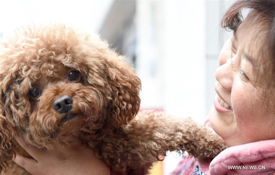 CHINA-ANHUI-DISABLED DOG-MOBILITY-KIND PEOPLE (CN)