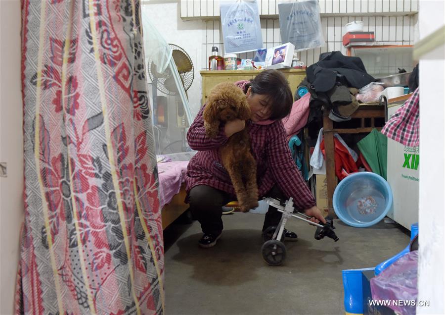 CHINA-ANHUI-DISABLED DOG-MOBILITY-KIND PEOPLE (CN)