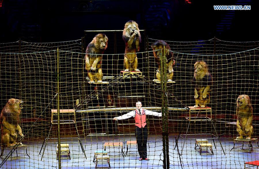 CHINA-GUANGDONG-ZHUHAI-CIRCUS FESTIVAL (CN)