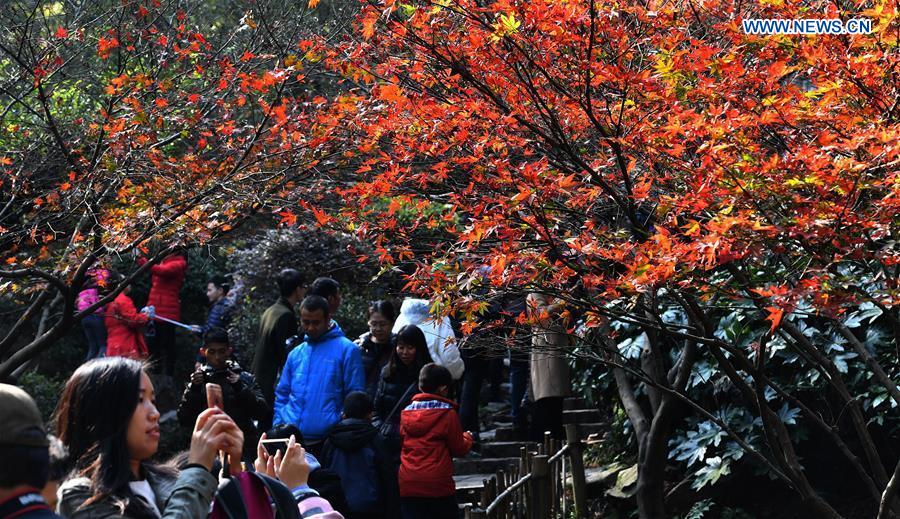 CHINA-CHANGSHA-MAPLE LEAVES(CN)