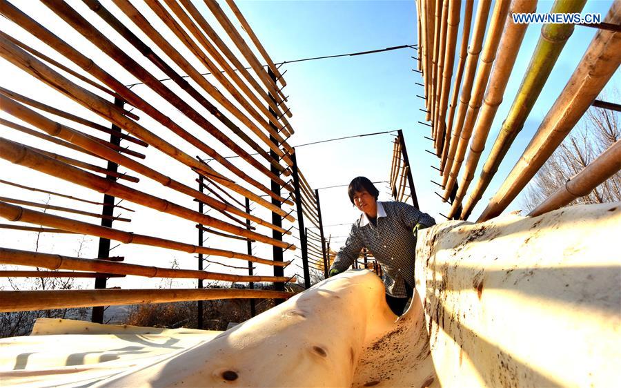 #CHINA-SHANDONG-FARMER-SLACK SEASON(CN)