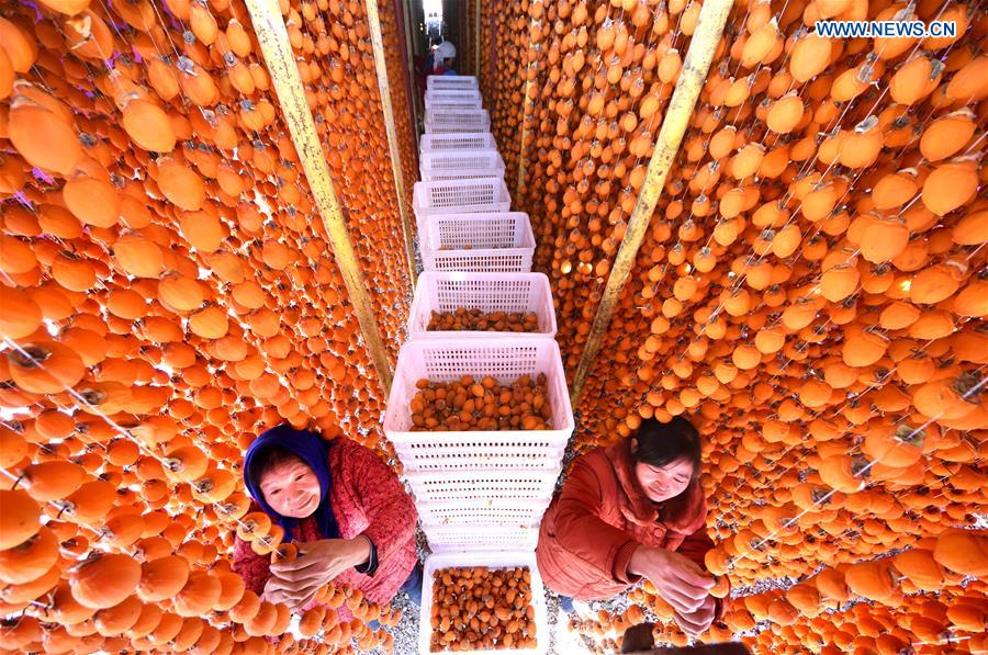 #CHINA-SHANDONG-FARMER-SLACK SEASON(CN)