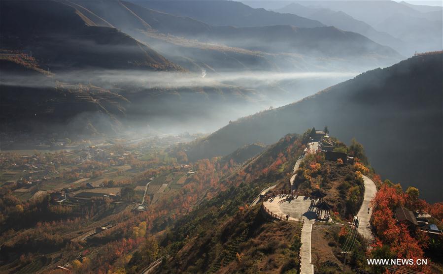 XINHUA PHOTO WEEKLY CHOICES 