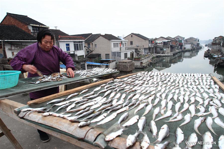 #CHINA-ZHEJIANG-SHAOXING-DRY FISH (CN) 