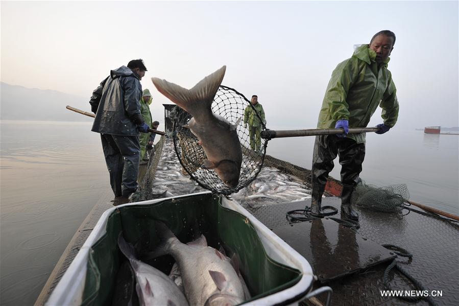 #CHINA-JIANGXI-FISHING SEASON(CN) 