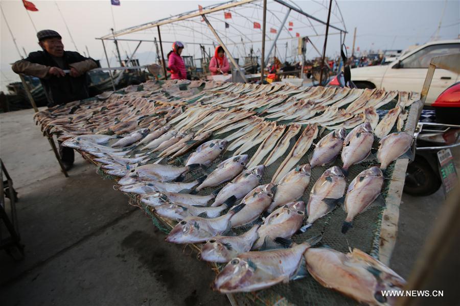 Photo taken on Nov. 30, 2016 shows the dried fish at Gangdong Port in Qingdao City, east China's Shandong Province.