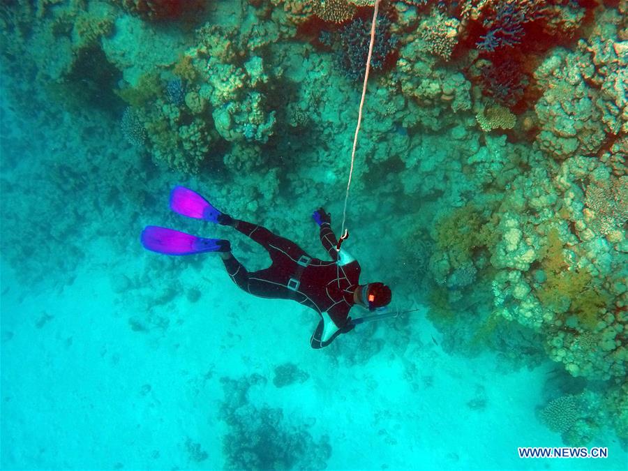 EGYPT-AL SHALATTEN-RED SEA-DIVING