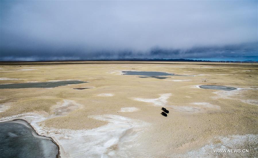 CHINA-QINGHAI-HOH XIL-SCENERY (CN)