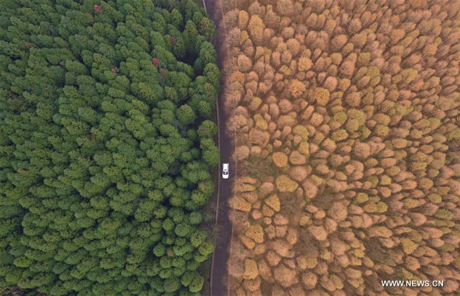 XINHUA PHOTO WEEKLY CHOICES