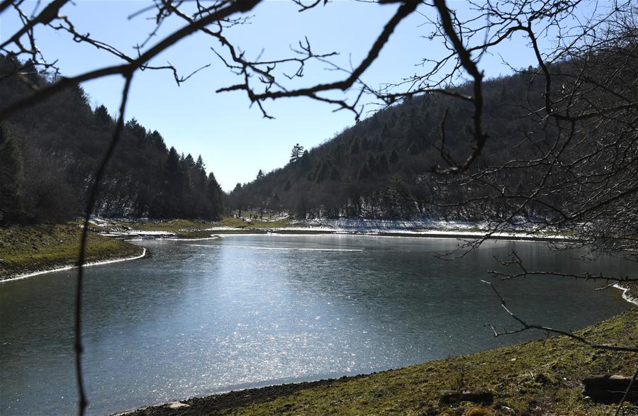 CHINA-SHAANXI-HANZHONG-BAMBOO (CN)