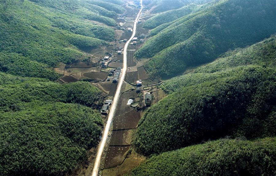 CHINA-SHAANXI-HANZHONG-BAMBOO (CN)