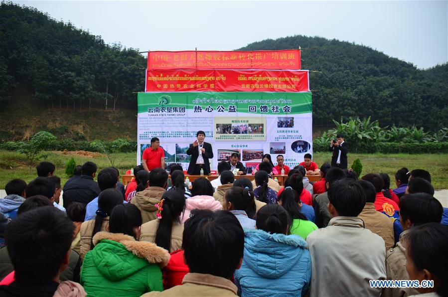 LAOS-LUANG NAMTHA-RUBBER PLANTING TRAINING