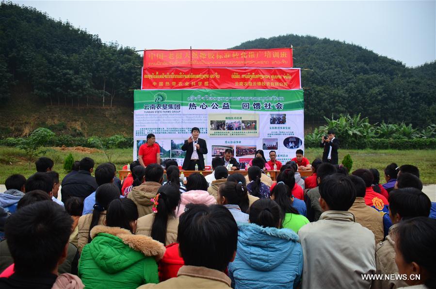 LAOS-LUANG NAMTHA-RUBBER PLANTING TRAINING