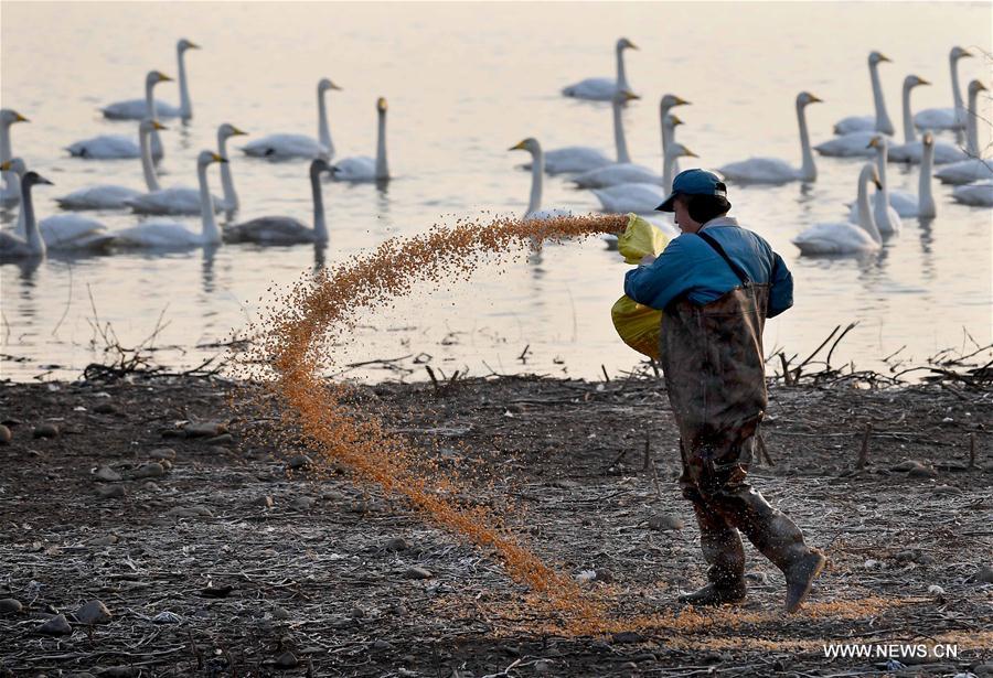 XINHUA PHOTO WEEKLY CHOICES 