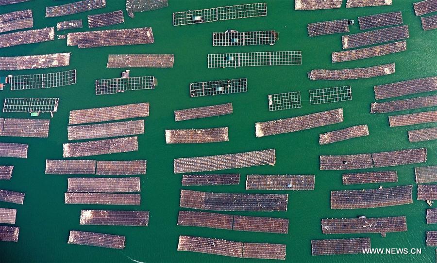 XINHUA PHOTO WEEKLY CHOICES 