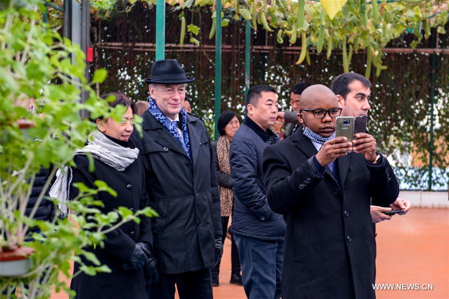 About 30 officials from embassies, organizations and experts of 21 countries and regions visited Xingtai recently to witness the implementation of poverty alleviation measures in the city About 30 officials from embassies, organizations and experts of 21 countries and regions visited Xingtai recently to witness the implementation of poverty alleviation measures in the city