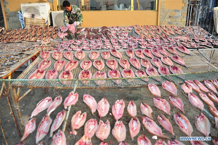 CHINA-SHANDONG-DRYING FISH (CN)