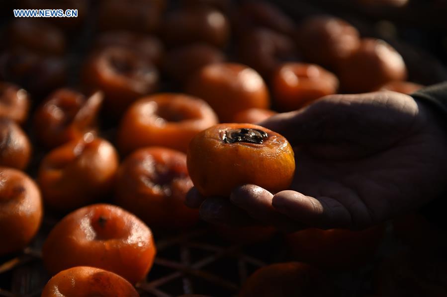 CHINA-FUJIAN-PERSIMMON (CN)
