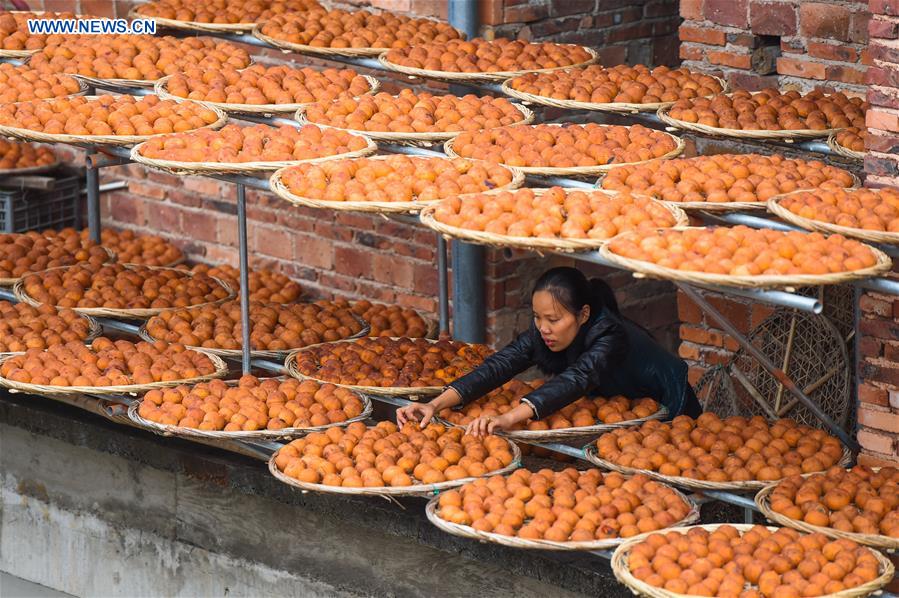 CHINA-FUJIAN-PERSIMMON (CN)