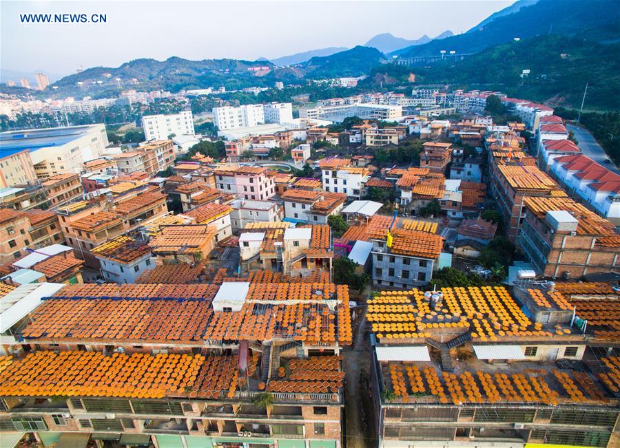 CHINA-FUJIAN-PERSIMMON (CN)