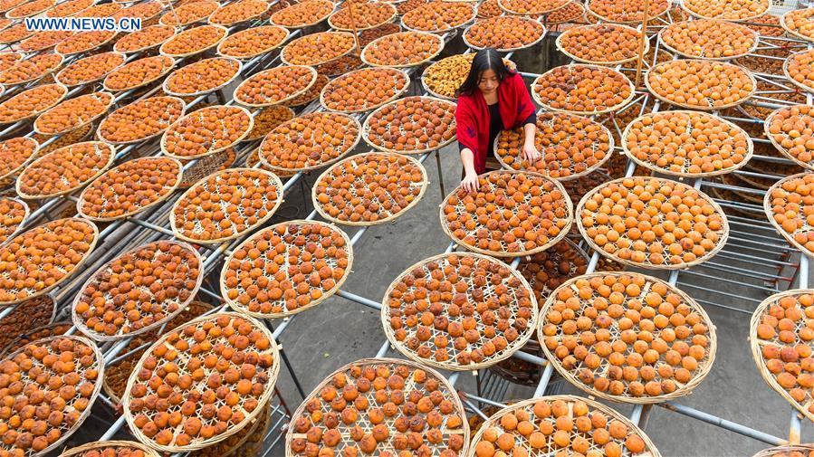 CHINA-FUJIAN-PERSIMMON (CN)