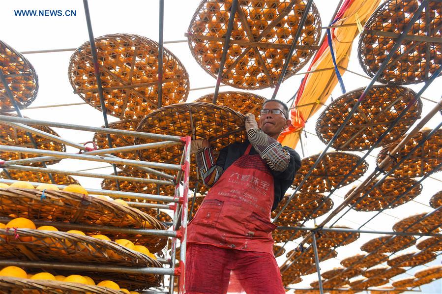 CHINA-FUJIAN-PERSIMMON (CN)