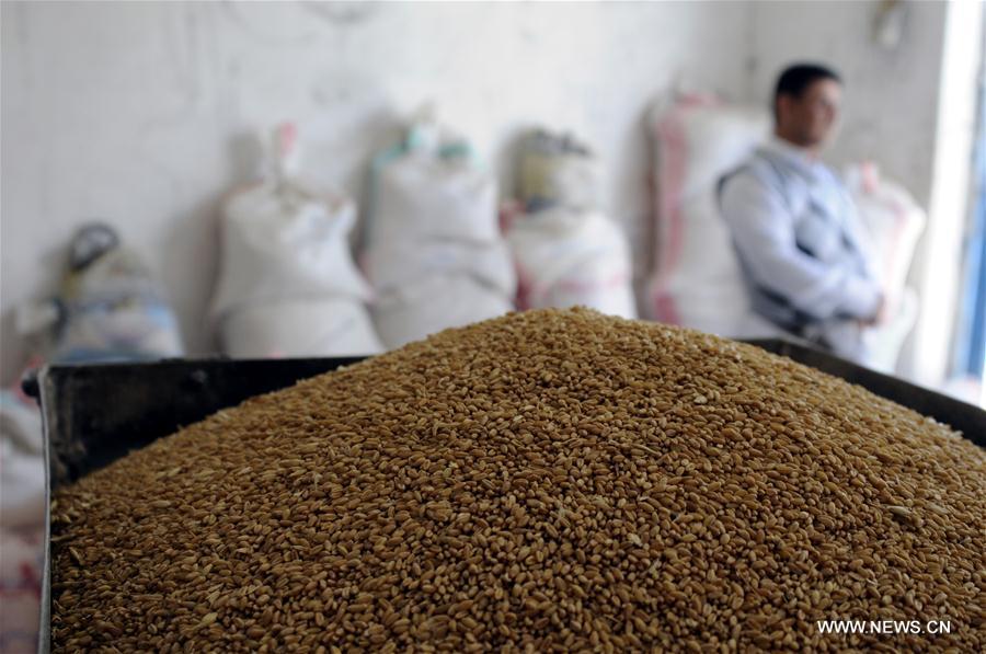 YEMEN-SANAA-WHEAT MARKET
