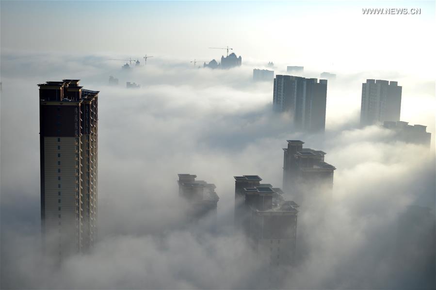 #CHINA-HEBEI-XINGTAI-FOG (CN)