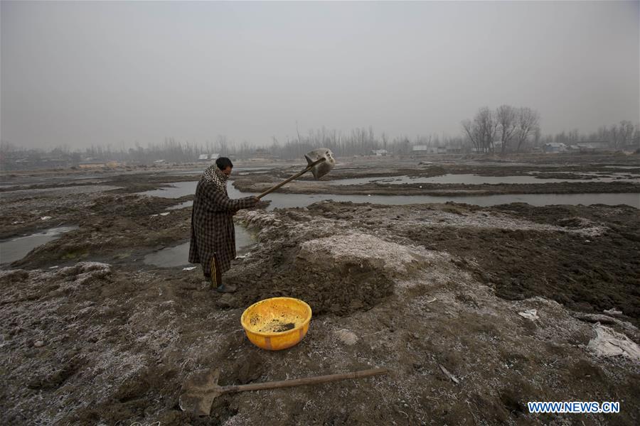 KASHMIR-SRINAGAR-COLD WAVE