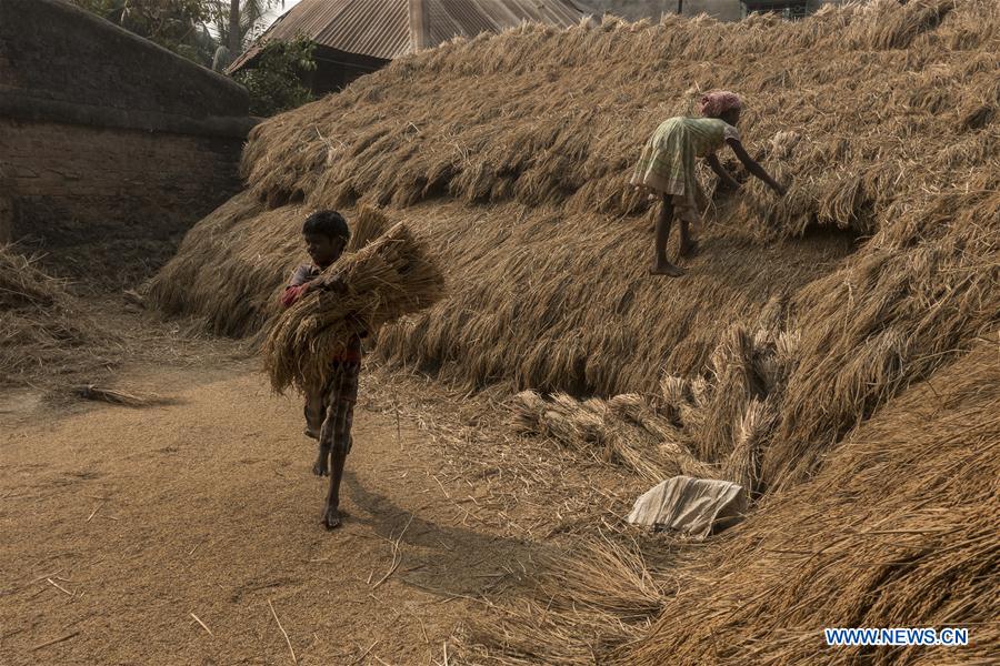 INDIA-KOLKATA-FARMER