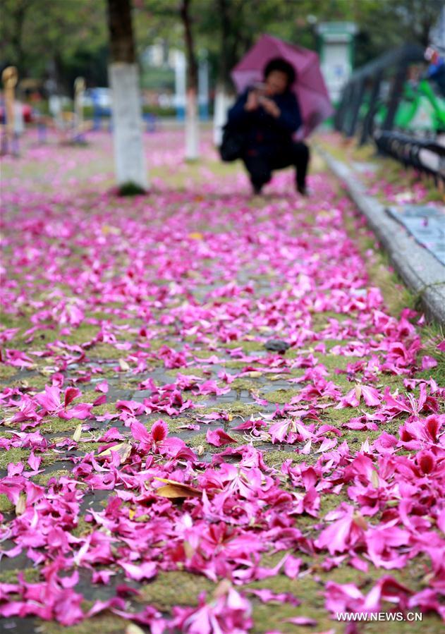 #CHINA-GUANGXI-LIUZHOU-FLOWERS (CN)