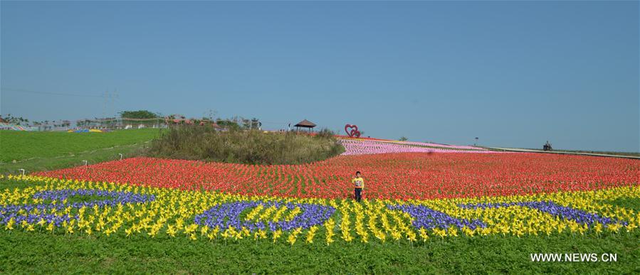 More than 240,000 pinwheels with various colours were installed here to greet the upcoming New Year