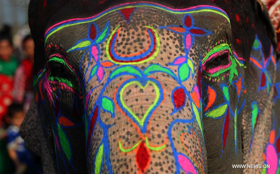 XINHUA PHOTO WEEKLY CHOICES 