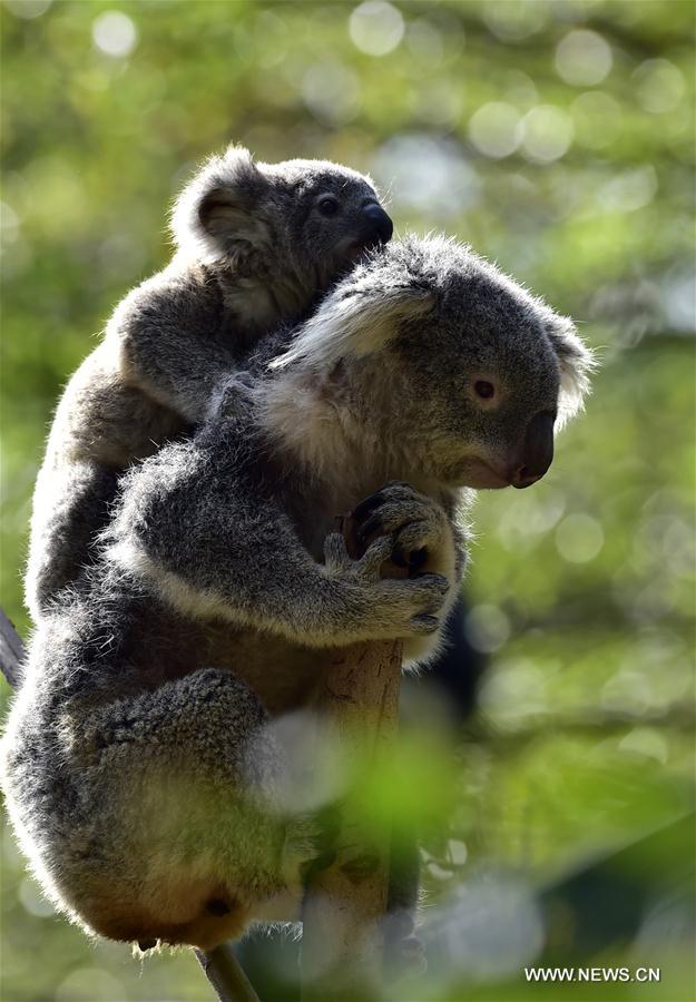 XINHUA PHOTO WEEKLY CHOICES 