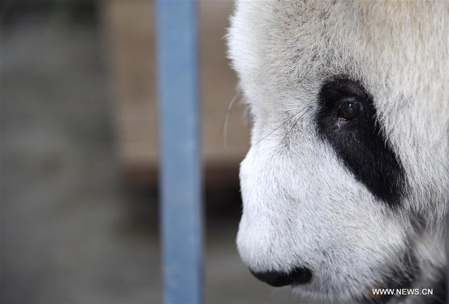 XINHUA PHOTO WEEKLY CHOICES 