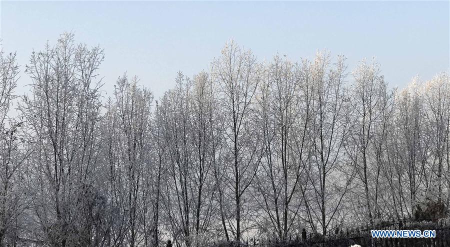 CHINA-BEIJING-RIME SCENERY (CN)