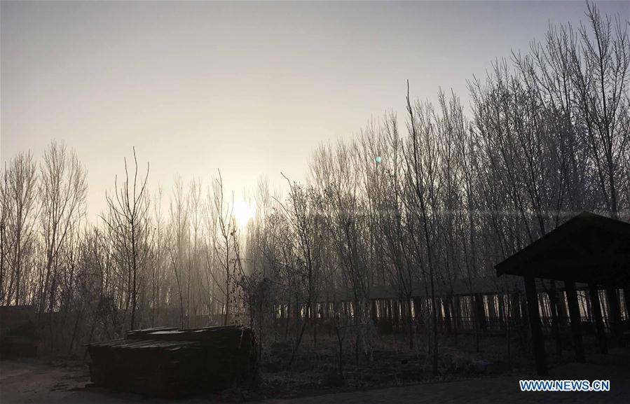 CHINA-BEIJING-RIME SCENERY (CN)