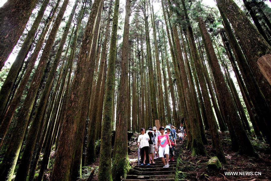 CHINA-SCENERY-SEASONS-SUMMER (CN)