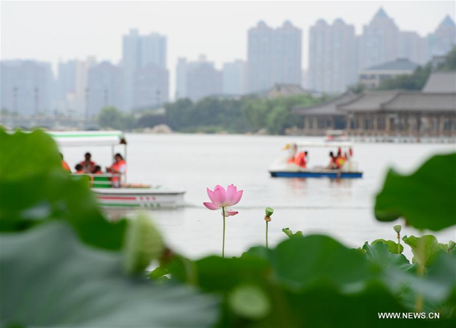 CHINA-SCENERY-SEASONS-SUMMER (CN)