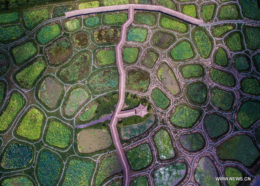 CHINA-SCENERY-SEASONS-SUMMER (CN)