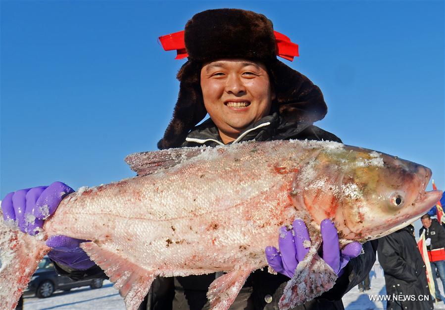 A fisherman holds a big fish during winter fishing at Wolong Lake of Kangping County, northeast China's Liaoning Province, Jan. 5, 2017. 
