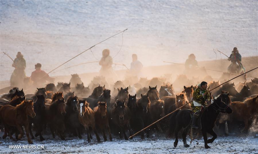 CHINA-INNER MONGOLIA-XILINHOT-FOLK CUSTOM-HORSE (CN) 