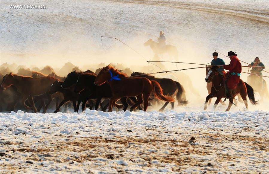 CHINA-INNER MONGOLIA-FOLK CUSTOM-NADAM (CN) 