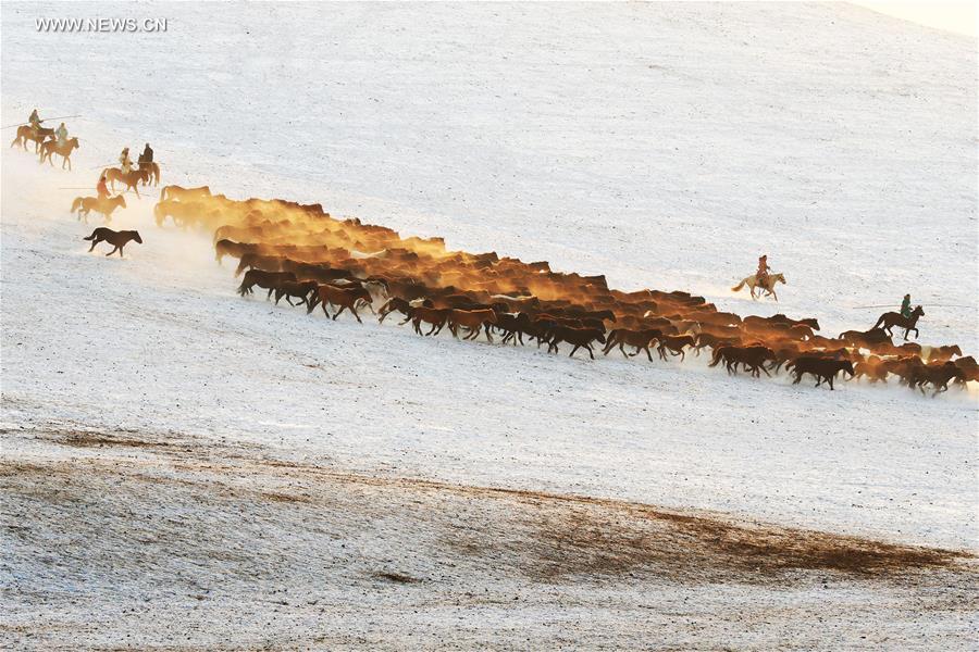 CHINA-INNER MONGOLIA-FOLK CUSTOM-NADAM (CN) 